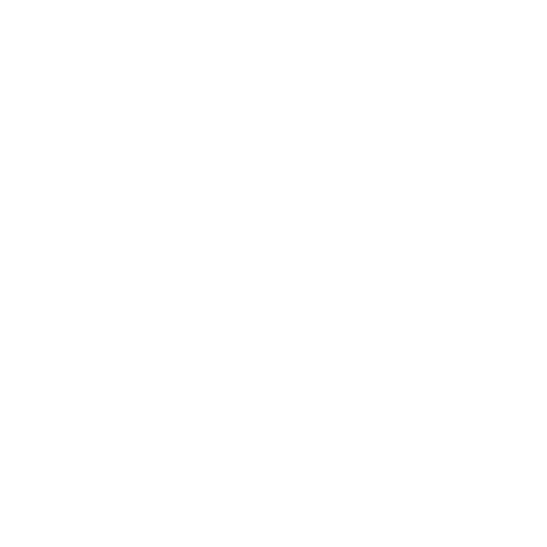 Opera Volunteers International
